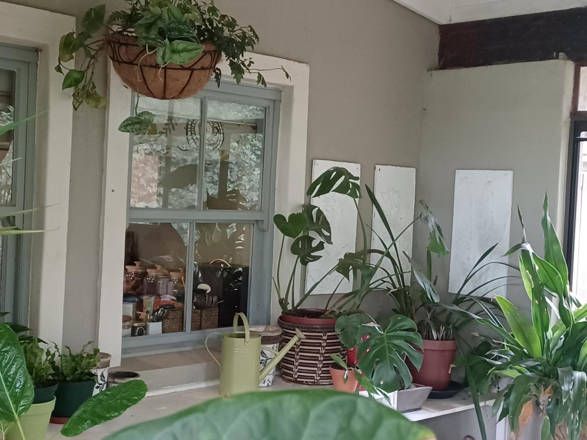 Little Fields Country House And Cottages هويك المظهر الخارجي الصورة